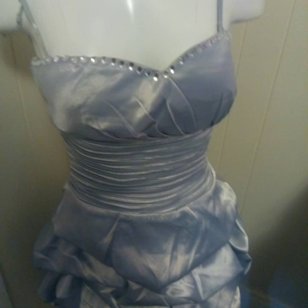 Silver Vintage Ruffled Dress